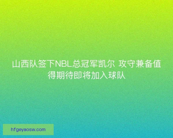 山西队签下NBL总冠军凯尔 攻守兼备值得期待即将加入球队