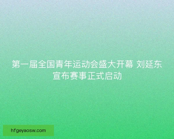 第一届全国青年运动会盛大开幕 刘延东宣布赛事正式启动